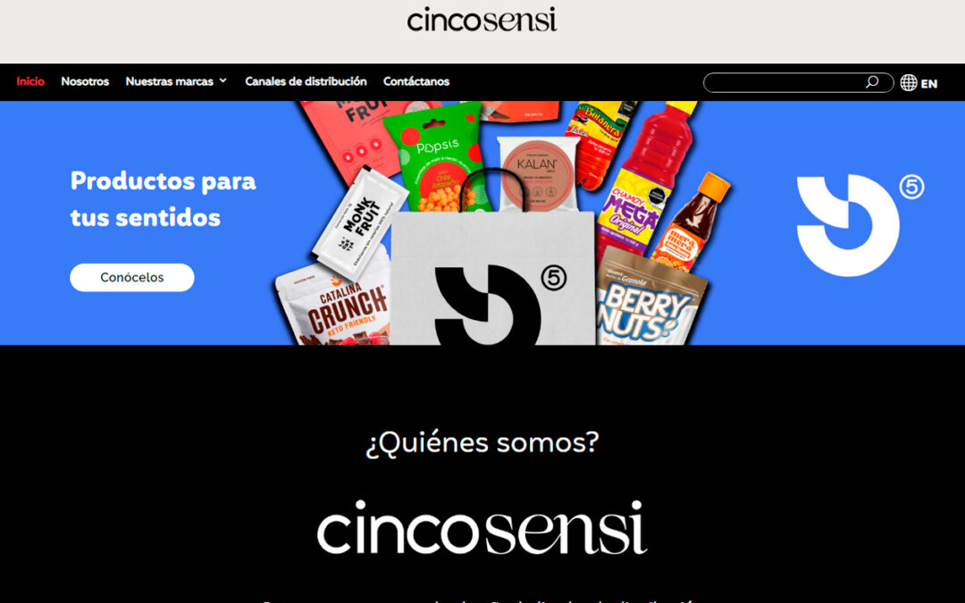 Desarrollo de sitio web cincosensi.com