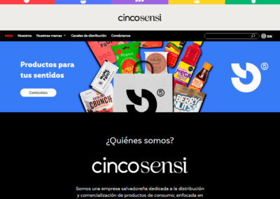 Desarrollo de sitio web cincosensi.com