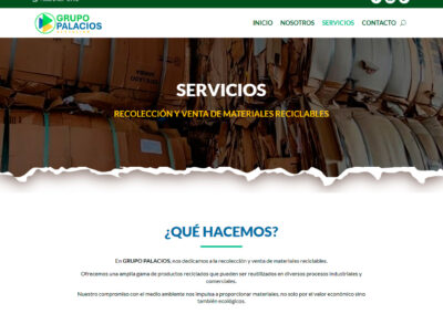 GRUPO PALACIOS | Servicios